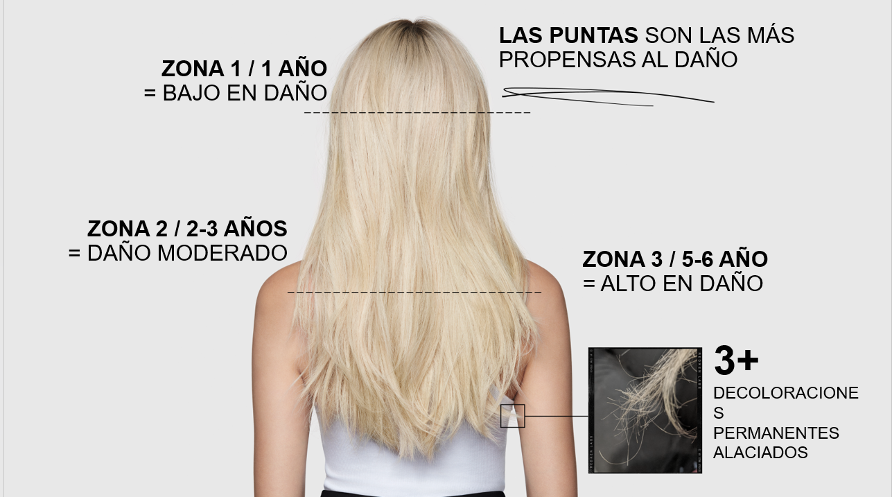 Zonas de daño capilar Redken